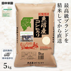 □令和6年産 本場 新潟県 魚沼産 コシヒカリ 5kg(1袋)/五つ星お米マイスター監修