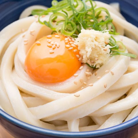 極太麺 讃岐うどん 6食